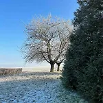 La Ferme Du Bois * Ablancourt