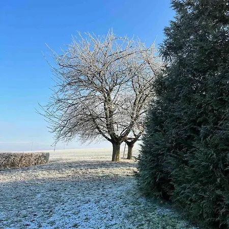 La Ferme Du Bois * Ablancourt