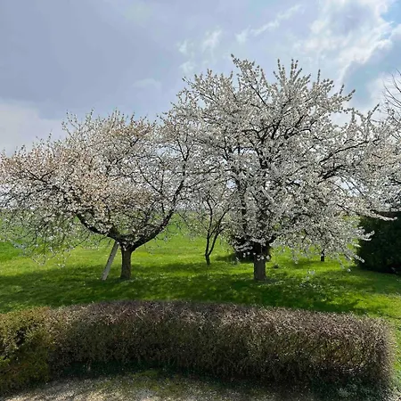 La Ferme Du Bois Holiday home